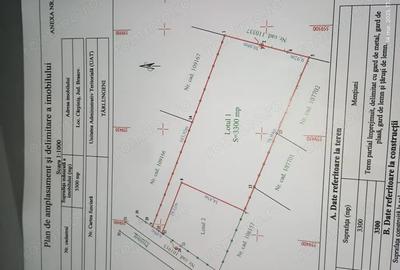 Teren de 4400 mp, în Cărpiniș - 6