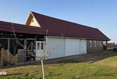 Teren de 15000 mp, în Hărman - 4