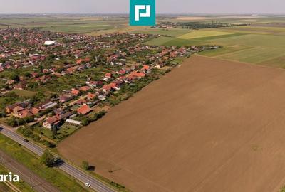 Teren de 28500 mp, în Șofronea - 3