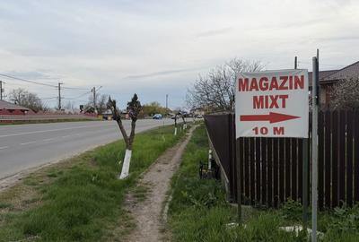Teren de 700 mp, în Sinești - 6