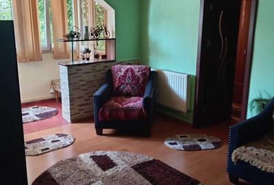 Apartament cu 2 camere semidecomandat în Craiovița Nouă - 2