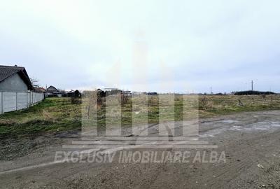 Teren Construcții intravilan de 5500 mp, în Central - 2