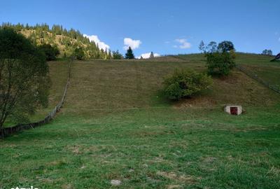 Teren de 1724 mp, în Ortoaia
