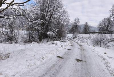 Teren de 22600 mp, în Sucevița - 5