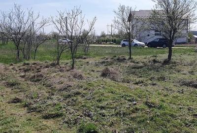 Teren de 500 mp, în Central