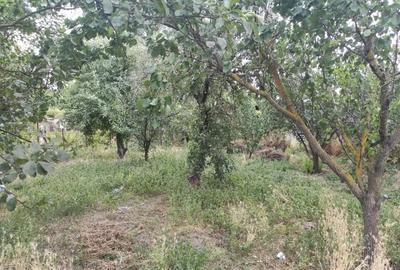 Casă cu 4 camere cu Teren 800 Mp în Licuriciu - 6