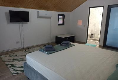 Casă cu 6 camere cu Teren 1500 Mp în Peceneaga
