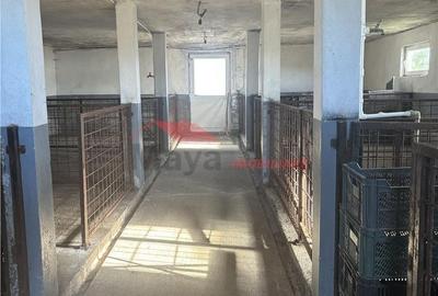 Casă cu 3 camere în Florești