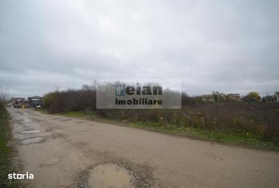 Teren de 3000 mp, în Mogoșoaia - 3