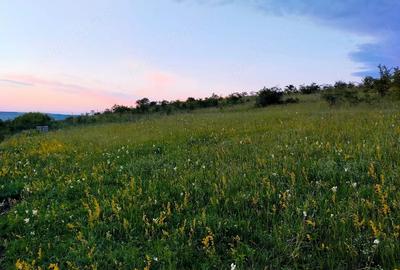 Teren de 1000 mp, în Sopor