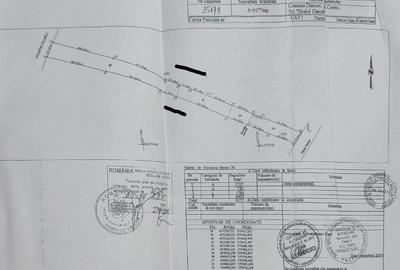 Teren de 9177 mp, în Ceretu