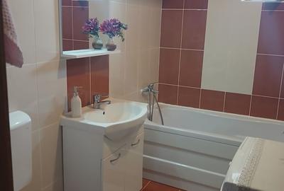 Apartament cu 3 camere decomandat în Olteni - 9
