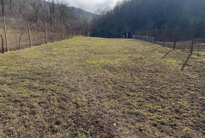 Casă individuală cu 10 camere cu Teren 1439 Mp în Ciclova Română - 9