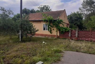 Casă cu 4 camere în Duboz - 2