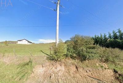 Teren de 5000 mp, în Crainimăt - 2