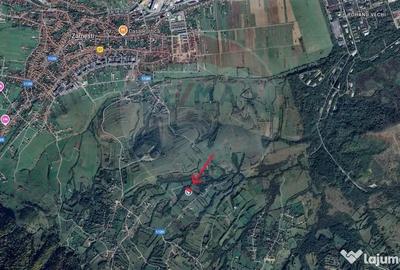 Teren de 15800 mp, în Tohănița - 3
