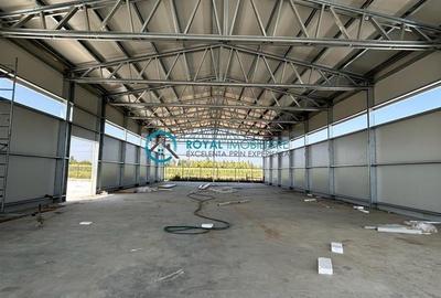 Spațiu industrial, de 590 mp, în Exterior Nord - 6