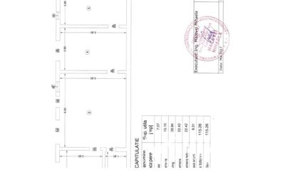 Casă cu 7 camere cu Teren 915 Mp în Copou