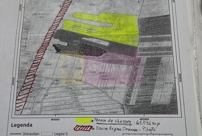 Teren agricol extravilan de 62600 mp, în Albota - 9