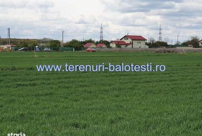 Teren de 500 mp, în Balotești - 1