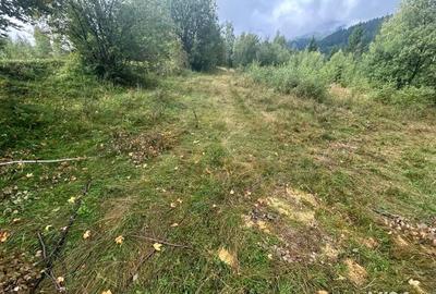 Teren de 608 mp, în Băișoara - 5
