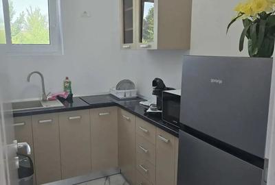 Spațiu comercial, de 40 mp, în Lipovei