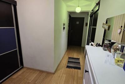 Apartament cu 2 camere decomandat în Valea Ialomiței - 19