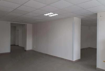 Casă cu Teren 400 Mp în Mehala - 1