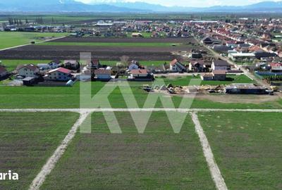 Teren de 502 mp, în Hălchiu - 14