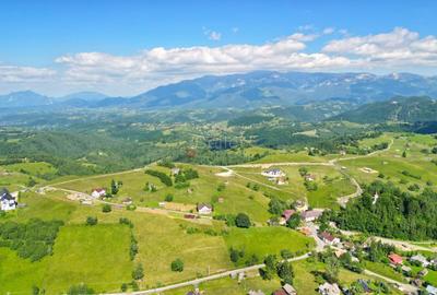 Teren Construcții intravilan de 13000 mp, în Șirnea - 13