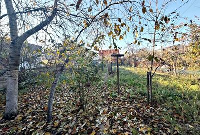 Casă individuală cu 3 camere cu Canalizare în Iosia - 3