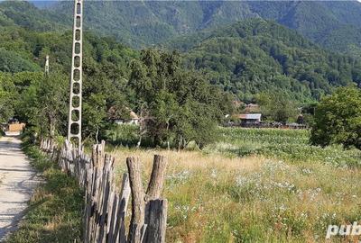 Teren de 4150 mp, în Drăgănești (Brezoi) - 5
