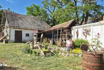 Casă cu 3 camere cu Teren 5800 Mp în Central - 17