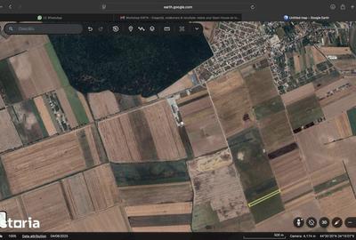 Teren de 10000 mp, în Dascălu