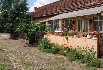 Casă cu 3 camere în Chegea - 3