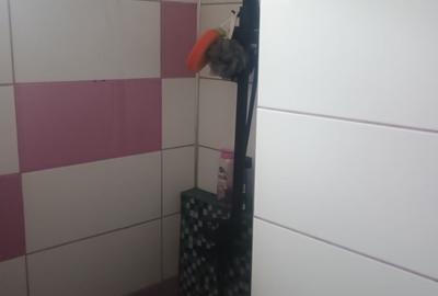 Apartament cu 2 camere decomandat în Precista - 7