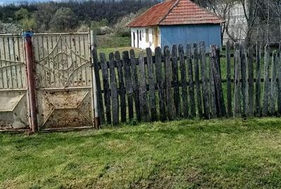 Teren de 4629 mp, în Negreni - 10