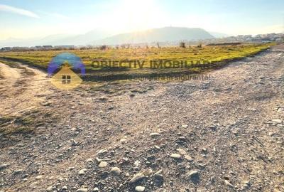 Teren agricol intravilan de 10000 mp, în Calea Romanului - 5