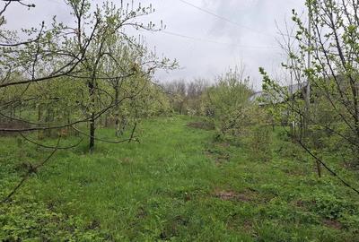 Teren de 3000 mp, în Predeal - 5