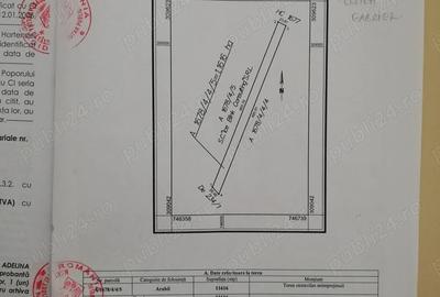 Teren de 11616 mp, în Ivrinezu Mare