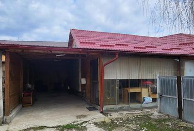 Casă cu 3 camere cu Teren 2800 Mp în Răcoasa - 7