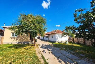 Casă cu Teren 4450 Mp în Crețeni
