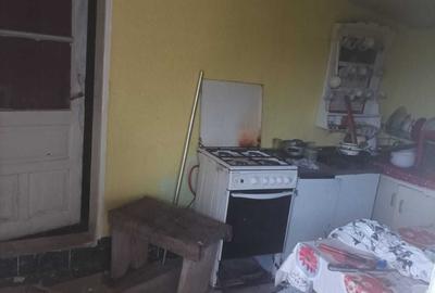 Casă cu 3 camere în Central
