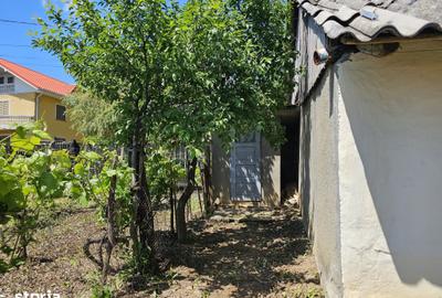 Casă cu 3 camere cu Teren 1330 Mp în Păunești - 7