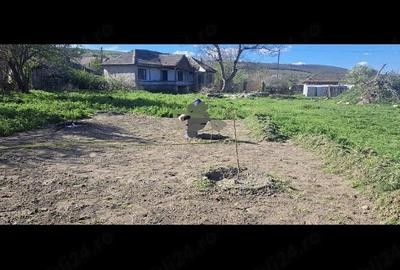 Teren de 1804 mp, în Rariștea - 1