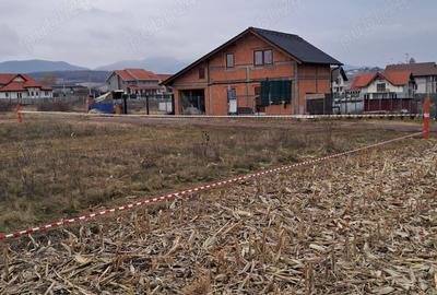 Teren de 5600 mp, în Archia - 5