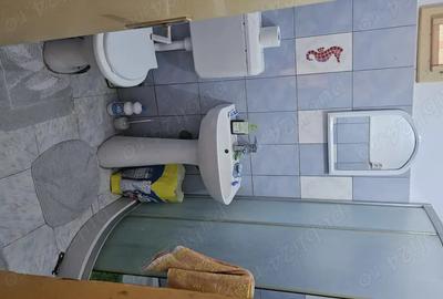 Casă cu 6 camere cu Teren 4000 Mp în Vrani - 8