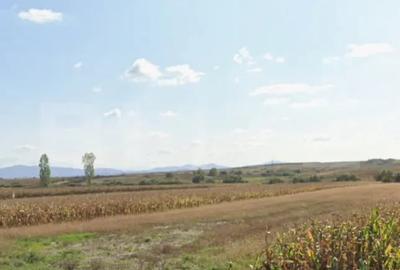 Teren de 6700 mp, în Pericei - 1
