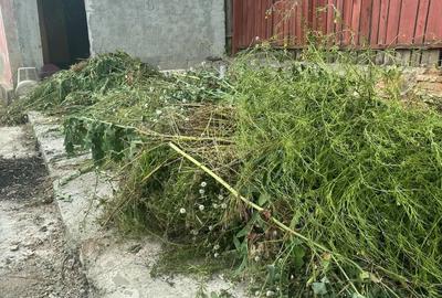 Casă cu 5 camere cu Teren 325 Mp în Central - 4
