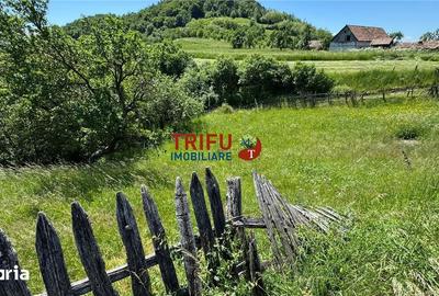 Casă cu 2 camere cu Teren 1493 Mp în Vințu de Jos - 9